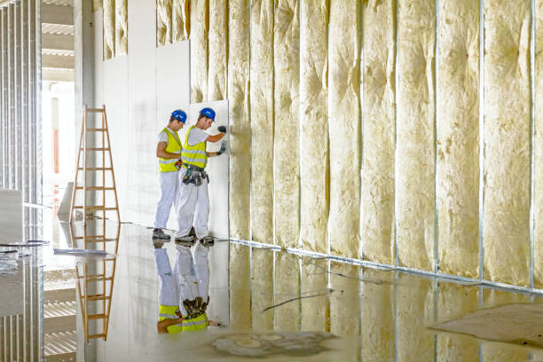 Insulation Repair Services in Ladonia, AL